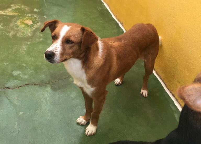 multimedia-foto67987-294-1