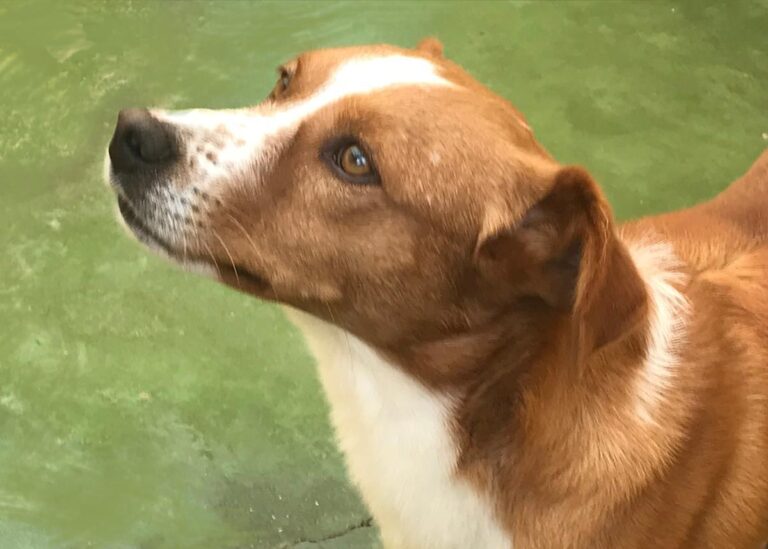 multimedia-foto67988-294-1