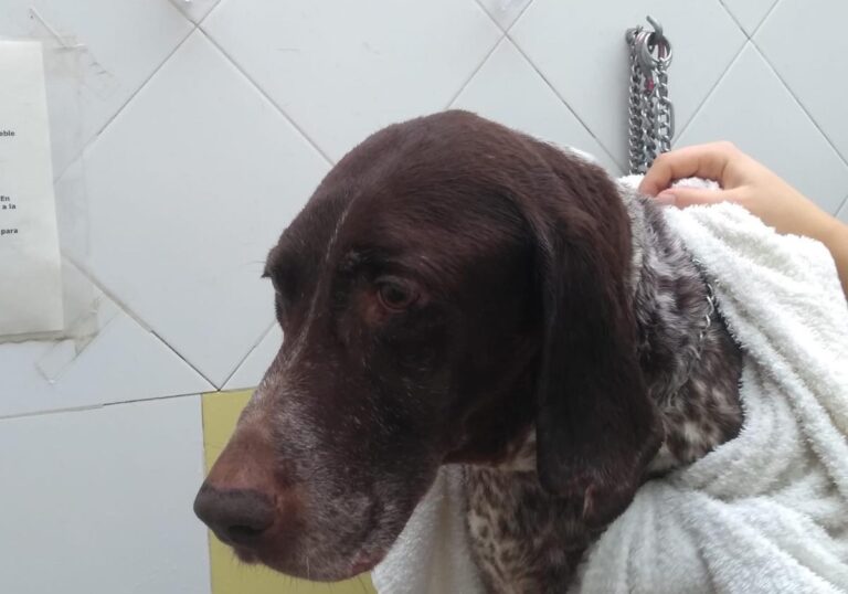 multimedia-foto67993-517-1