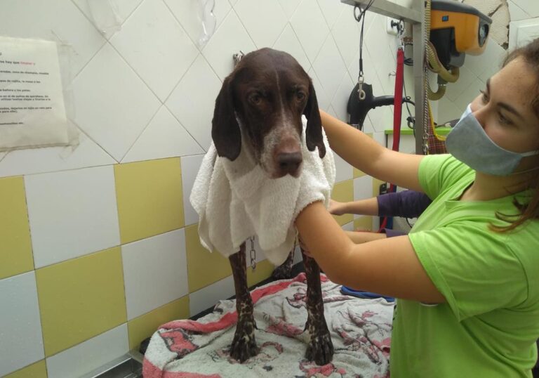 multimedia-foto67994-518-1