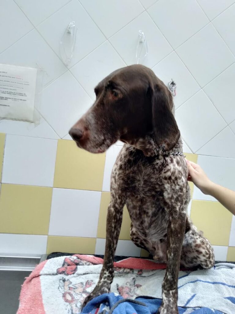 multimedia-foto67995-518-1