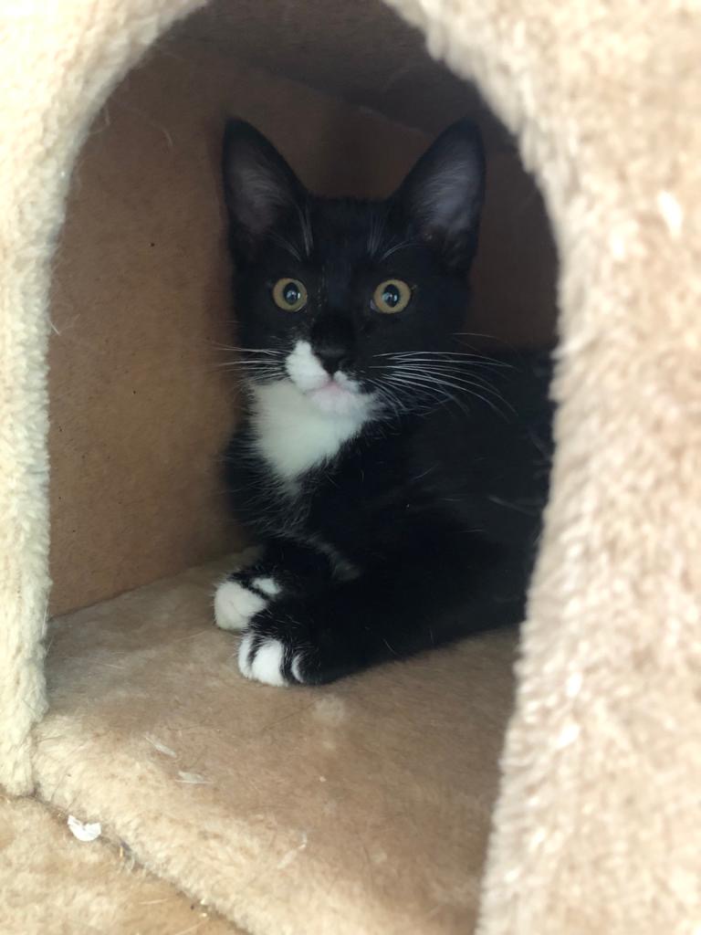 multimedia-foto68006-191-1