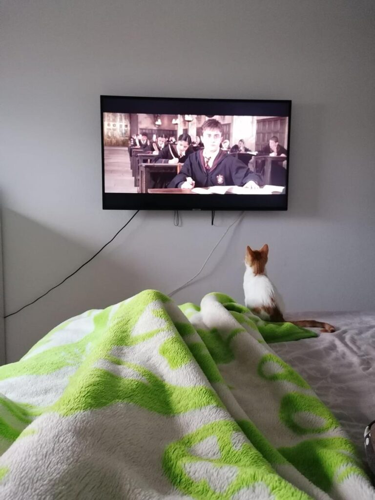 multimedia-foto68014-607-1