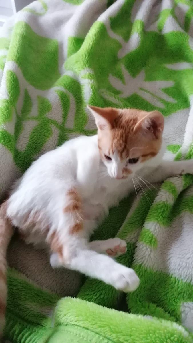 multimedia-foto68016-608-1