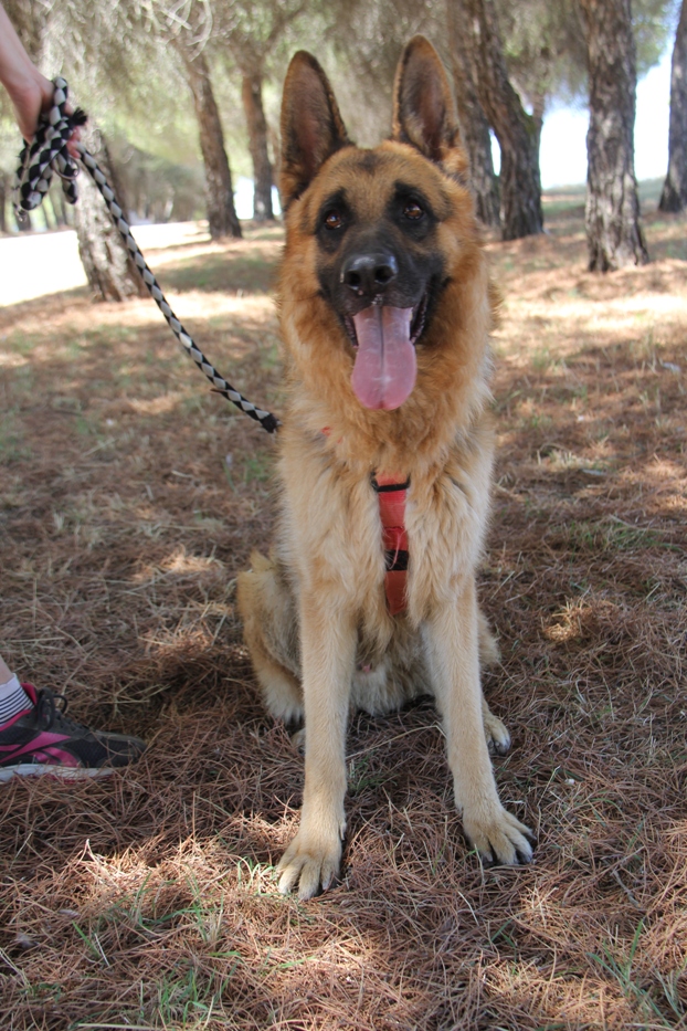 multimedia-foto68019-113-1