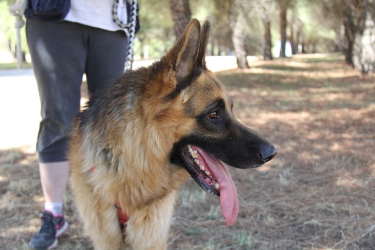 multimedia-foto68020-114-1