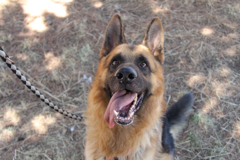 multimedia-foto68021-114-1