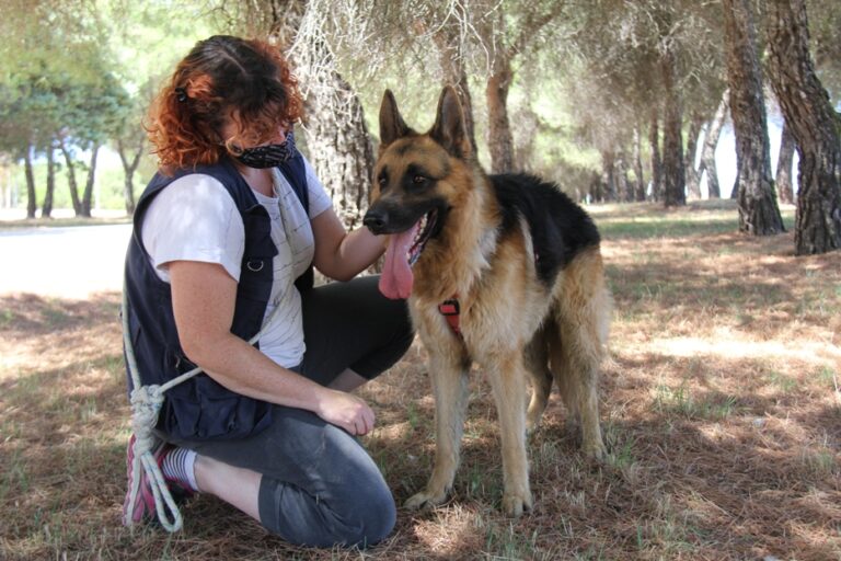 multimedia-foto68022-115-1