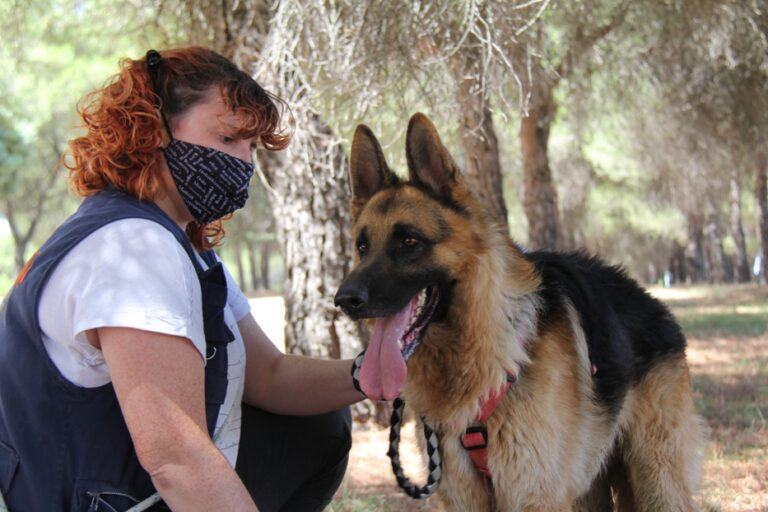 multimedia-foto68023-115-1