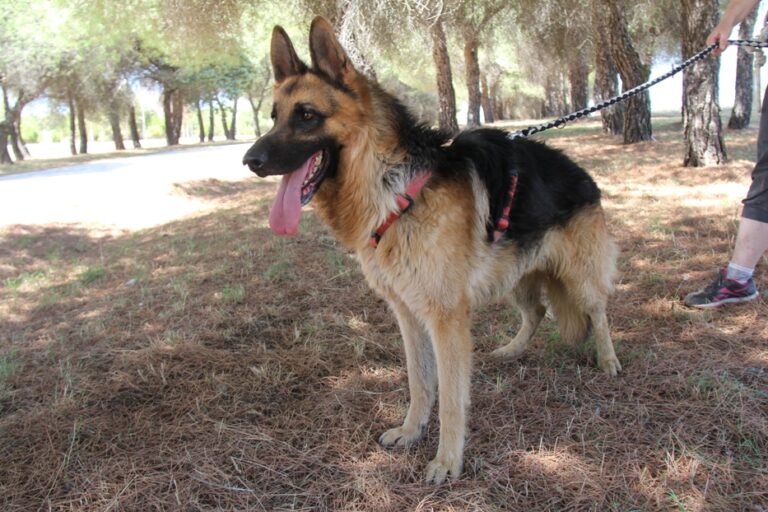 multimedia-foto68024-116-1