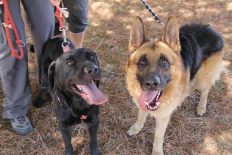 multimedia-foto68025-116-1