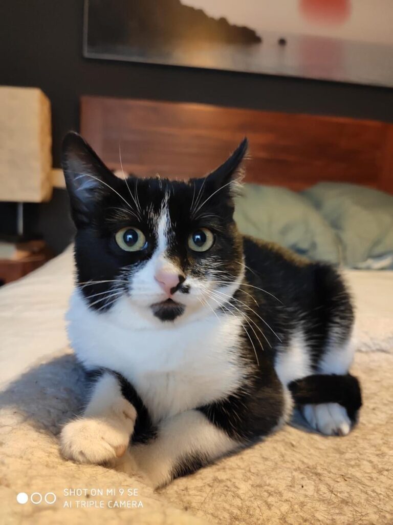 multimedia-foto68079-486-1