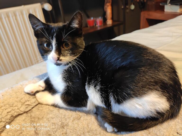 multimedia-foto68081-487-1