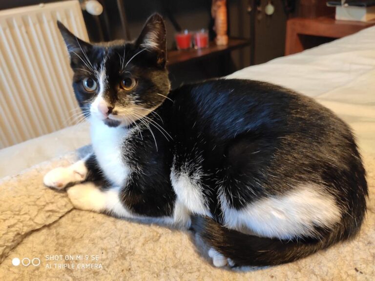 multimedia-foto68082-488-1