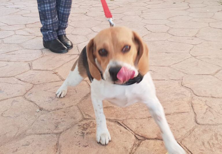 multimedia-foto68111-196-1