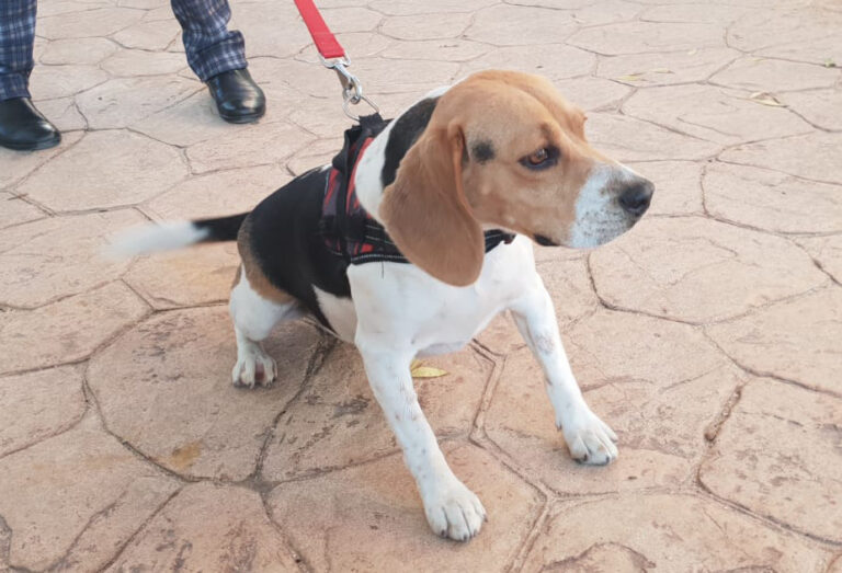 multimedia-foto68112-197-1