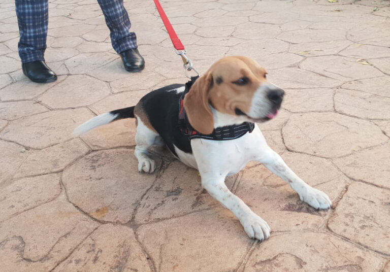 multimedia-foto68113-198-1