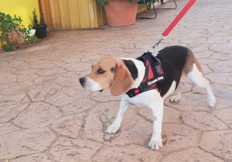 multimedia-foto68114-198-1