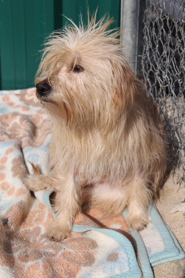 multimedia-foto68118-70-1