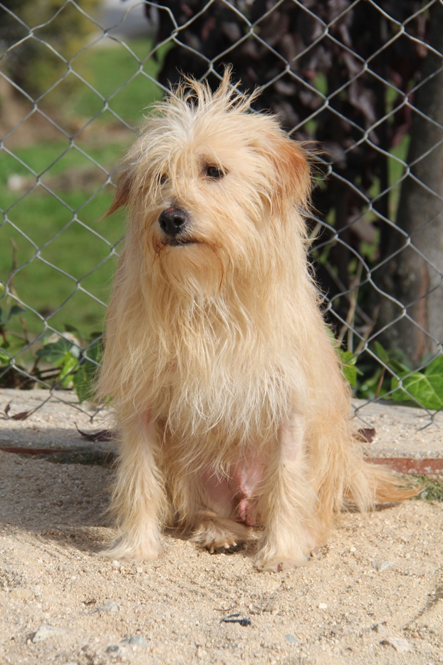 multimedia-foto68119-70-1