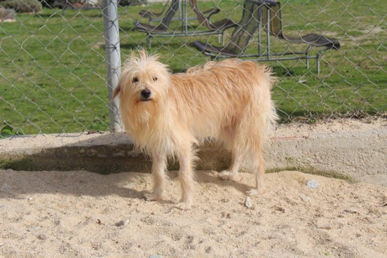 multimedia-foto68120-71-1