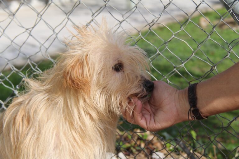 multimedia-foto68121-71-1