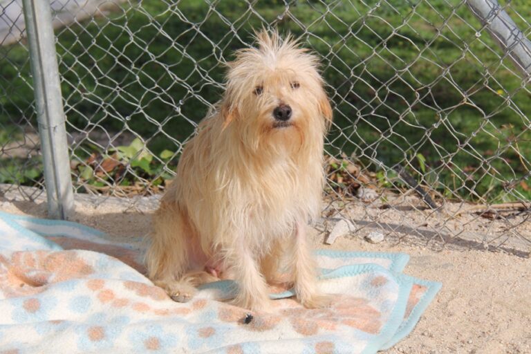 multimedia-foto68122-72-1