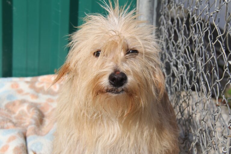 multimedia-foto68123-72-1