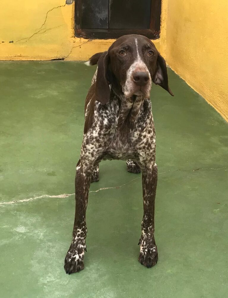 multimedia-foto68125-481-1