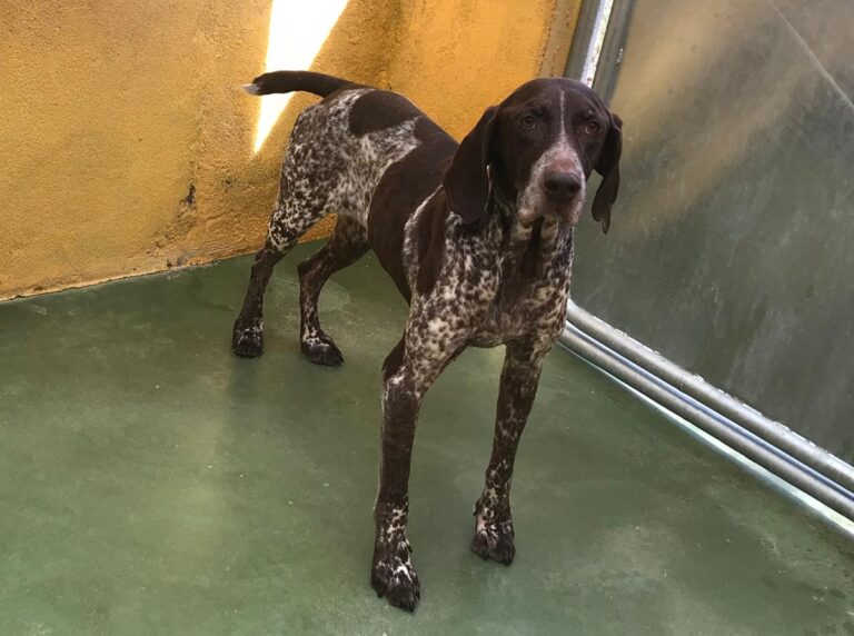 multimedia-foto68126-482-1