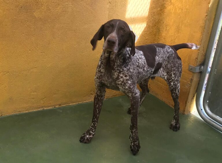 multimedia-foto68127-483-1