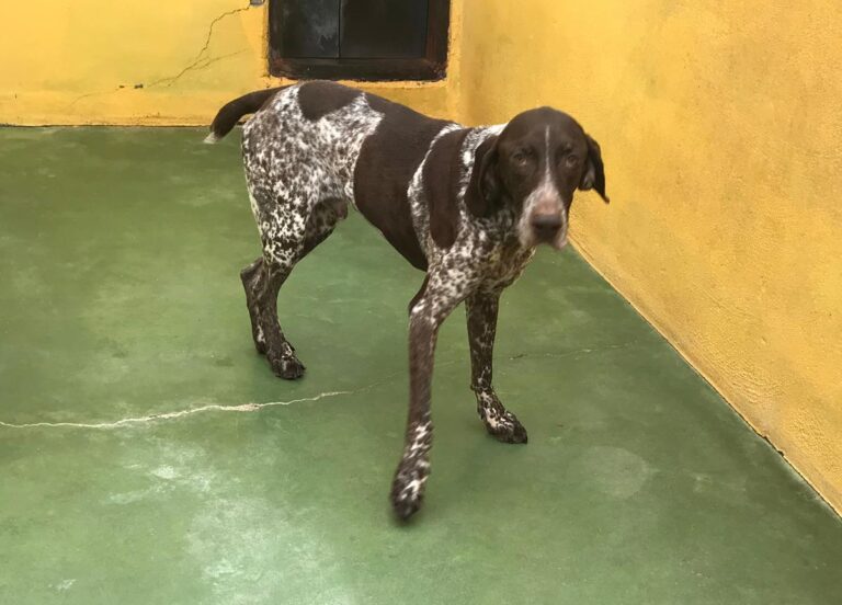 multimedia-foto68128-483-1