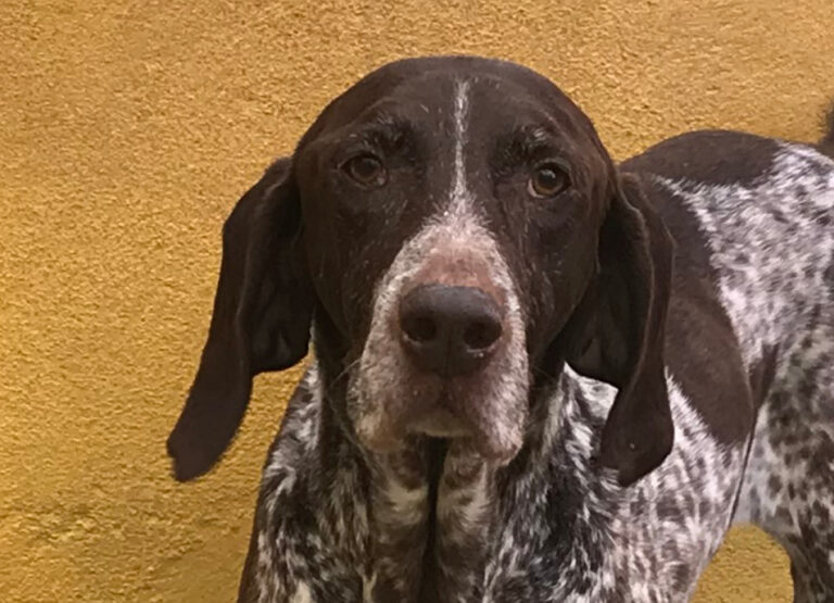 multimedia-foto68129-484-1