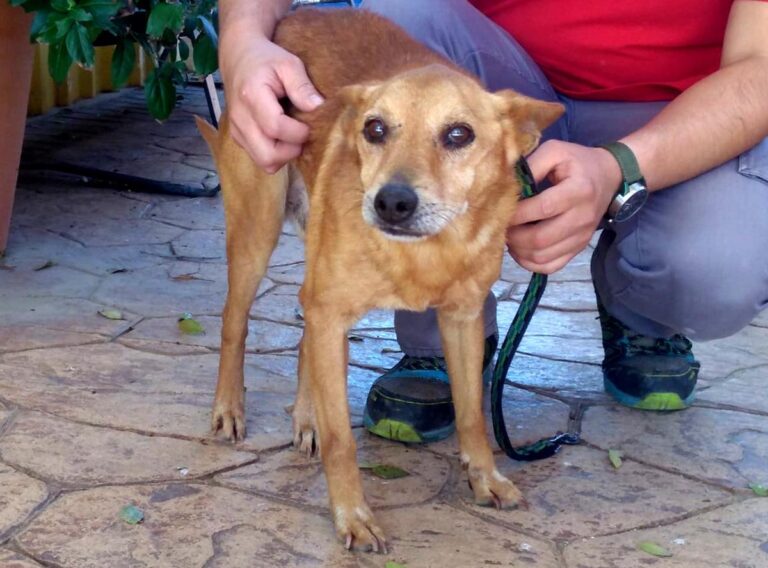 multimedia-foto68190-255-1