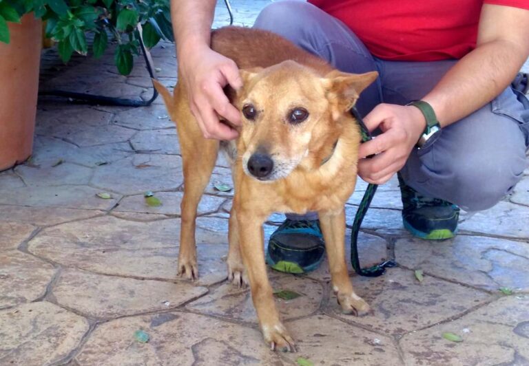 multimedia-foto68191-255-1