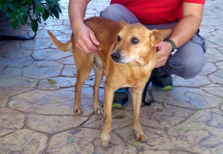 multimedia-foto68192-256-1