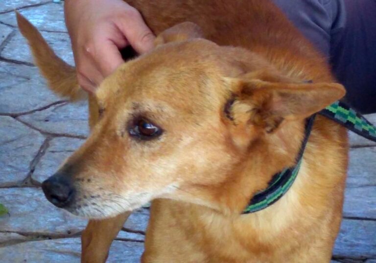 multimedia-foto68193-256-1