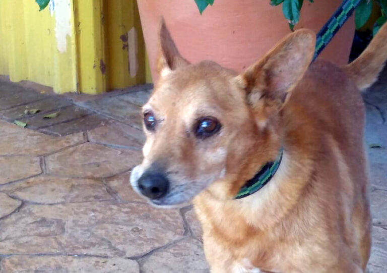 multimedia-foto68194-257-1