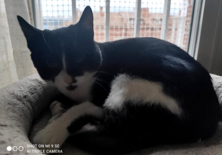 multimedia-foto68200-338-1