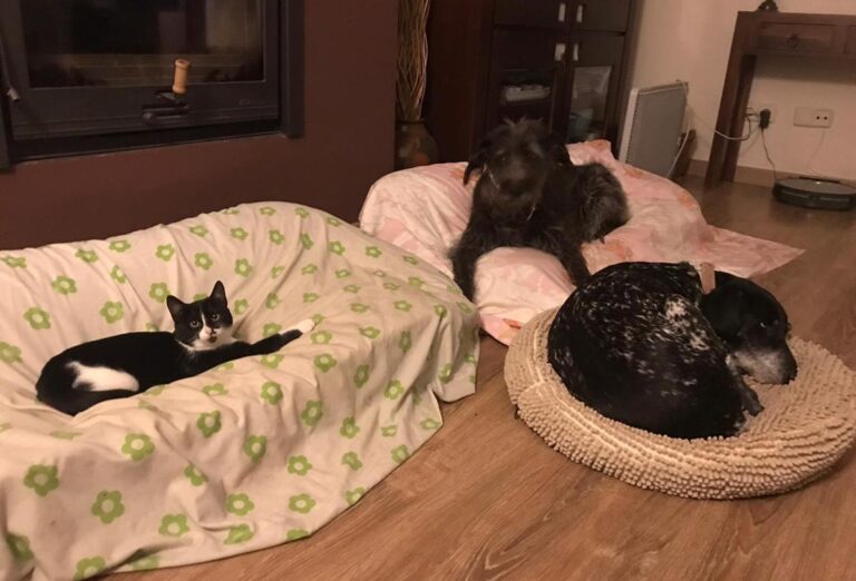 multimedia-foto68201-339-1