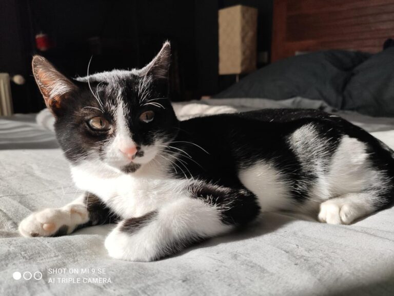 multimedia-foto68202-339-1