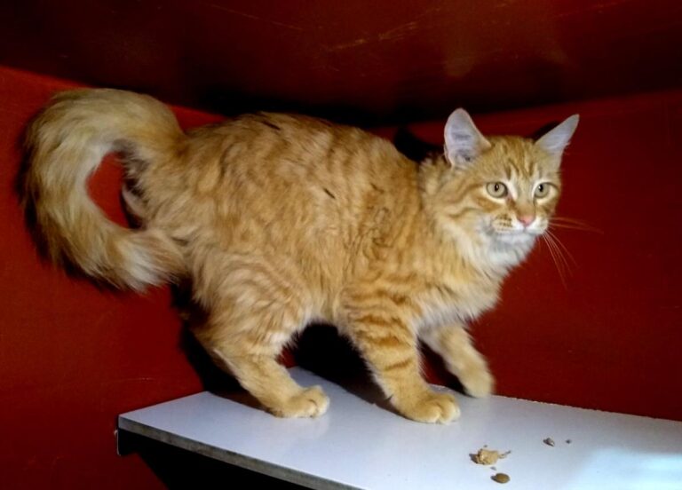 multimedia-foto68207-801-1