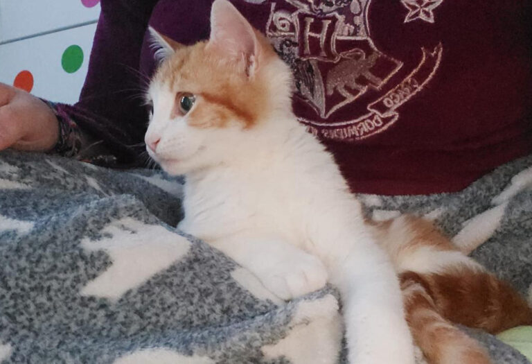 multimedia-foto68217-73-1