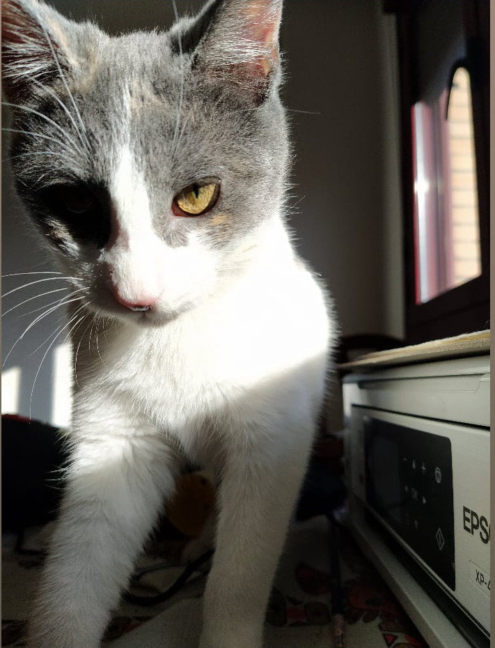 multimedia-foto68228-508-1