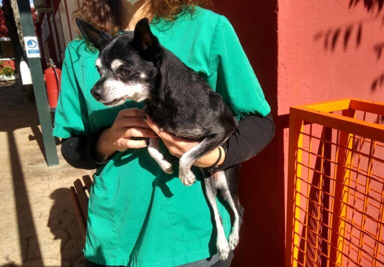 multimedia-foto68252-643-1