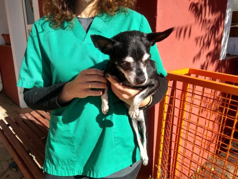 multimedia-foto68253-643-1