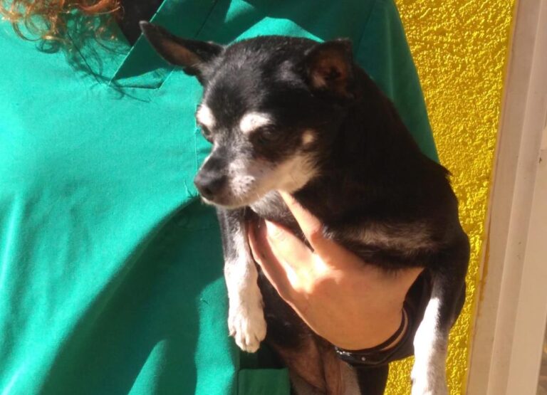 multimedia-foto68254-644-1