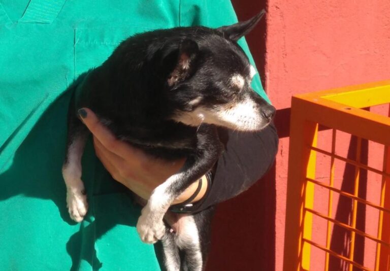 multimedia-foto68255-645-1