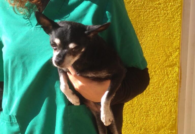 multimedia-foto68257-646-1