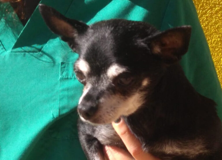 multimedia-foto68258-646-1